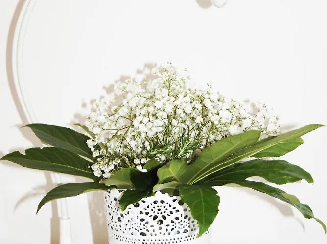 Apartamento Two Air - Con Split